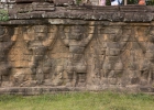 Elephant Tarrce