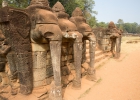 Elephant Tarrce