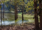 Angkor Wat