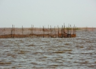 rdorf auf dem Tonle Sap