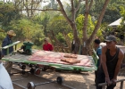 Bamboo Train