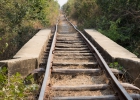 Bamboo Train