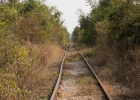 Bamboo Train