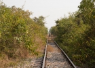 Bamboo Train
