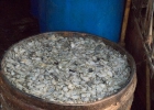 Battambang Fischpaste herstellen