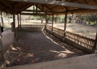 Choeungek Killing Field