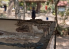 Choeungek Killing Field