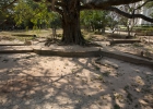 Choeungek Killing Field