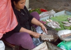 Russian Market