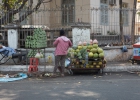 Phnom Penh
