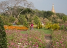 Yangon, Peoples Park