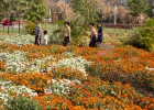 Yangon, Peoples Park