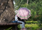 Yangon, Peoples Park