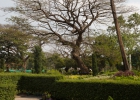 Yangon, Peoples Park