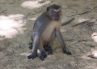 Khao Sok Nationalpark