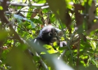 Khao Sok Nationalpark