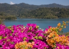 Khao Sok Nationalpark