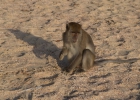Ao Nang