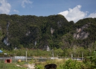 Phang nga