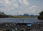 Phang nga