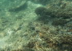 _wr_4293-jpg
