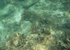 _wr_4353-jpg