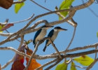 _wr_4593-jpg