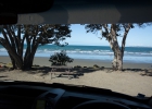 Orewa