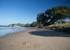 Orewa
