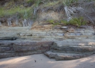 Orewa