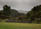 Kauri Coast TOP10 Holiday Park