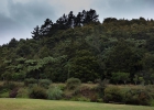 Kauri Coast TOP10 Holiday Park