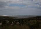 _wr_6036-jpg