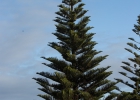 _wr_6170-jpg