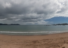 _WR_6235_pan