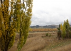 _wr_3347-jpg