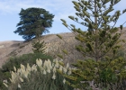 _wr_3573-jpg