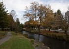_wr_4294-jpg