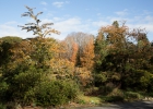 _wr_5004-jpg