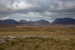 _WR_3867.jpg
