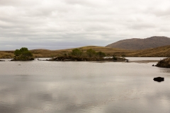 _WR_3899.jpg