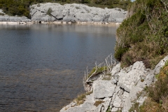 _WR_4432.jpg
