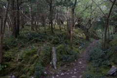_WR_4436.jpg