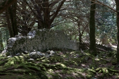 _WR_4441.jpg