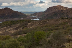 _WR_4714.jpg