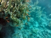 DSC00818.jpg