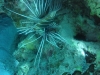 DSC00922.jpg