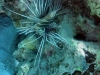 DSC00922.jpg
