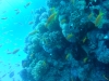 DSC00935.jpg