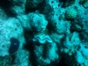 DSC00962.jpg